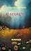 IL SEGRETO (Italian Edition)