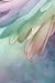Angel Wing Notebook