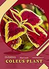 Coleus Plant: Pla...