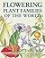 Flowering Plant Families of the World by Vernon H. Heywood