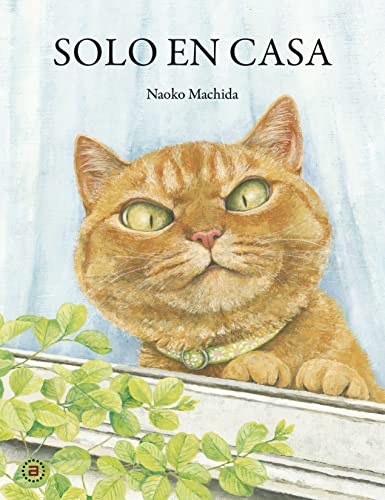 Solo en casa (Hardcover)
