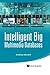 Intelligent Big Multimedia Databases