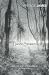 Ghost Stories