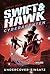 Undercover-Einsatz (Swift & Hawk, Cyberagenten #2)
