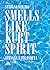 Smells like Kurt spirit: Nirvana e filosofia (Italian Edition)