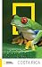 Costa Rica (National Geogra...