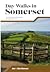 Day Walks in Somerset