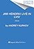 Jimi Hendrix Live in Lviv: A Novel
