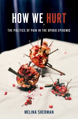 How We Hurt: The Politics of Pain in the Opioid Epidemic (Paperback)