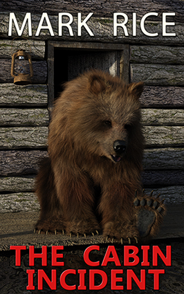 The Cabin Incident (Kindle Edition)