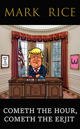 Cometh the Hour, Cometh the Eejit (Kindle Edition)