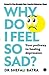 Why Do I Feel So Sad?: Your...