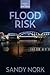 Flood Risk (Risk Series)