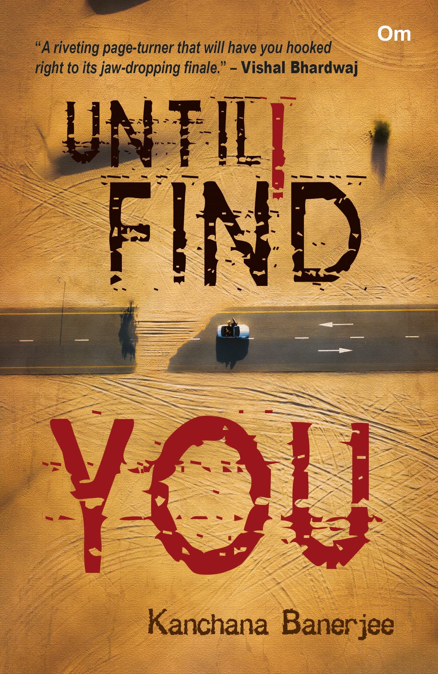 Until I Find You