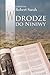 W drodze do Niniwy by Robert Sarah