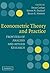 Econometric Theory and Practice by Dean Corbae