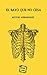 El rayo que no cesa: Versión ilustrada (Spanish Edition)