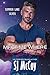 Meet Me Where the Stars Fall (Summer Lake Silver, #10)