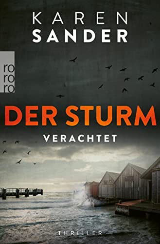 Der Sturm: Verachtet (Engelhardt & Krieger ermitteln, #5)