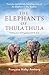 The Elephants of Thula Thula