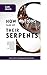 How Nations Take Up Their Serpents by Mark Beliles
