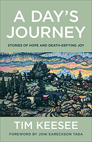 A Day's Journey: Stories of Hope and Death-Defying Joy (Paperback)