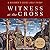 Witness at the Cross: A Beginner's Guide to Holy Friday