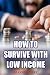 HOW TO SURVIVE WITH LOW INCOME by Branson Avery