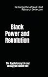Black Power and R...