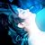 SOUS LES ETOILES by Colombe
