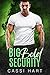 Big Bold Security (Big Alph...