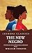 The New Negro His Political...