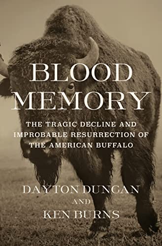 Blood Memory: The Tragic Decline and Improbable Resurrection of the American Buffalo (Hardcover)