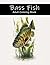 Bass Fish: Adult Coloring Book