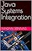 Java Systems Integration