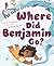 Where Did Benjamin Go?: A Picture Book