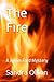 The Fire: A James Ford Mystery