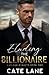 Eluding the Billionaire