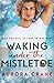 Waking Under the Mistletoe: (M/M Waking up Married Christmas Story)