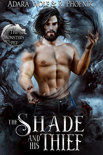 The Shade and His Thief (The Monster's Pet #3)