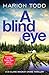 A Blind Eye (Detective Clare MacKay)