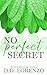 No Perfect Secret (The Imperfection Series (Discreet Cover Editions))