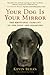 YOUR DOG IS YOUR MIRROR: THE EMOTIONAL ABILITY OF OUR DOGS AND US