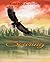 Soaring