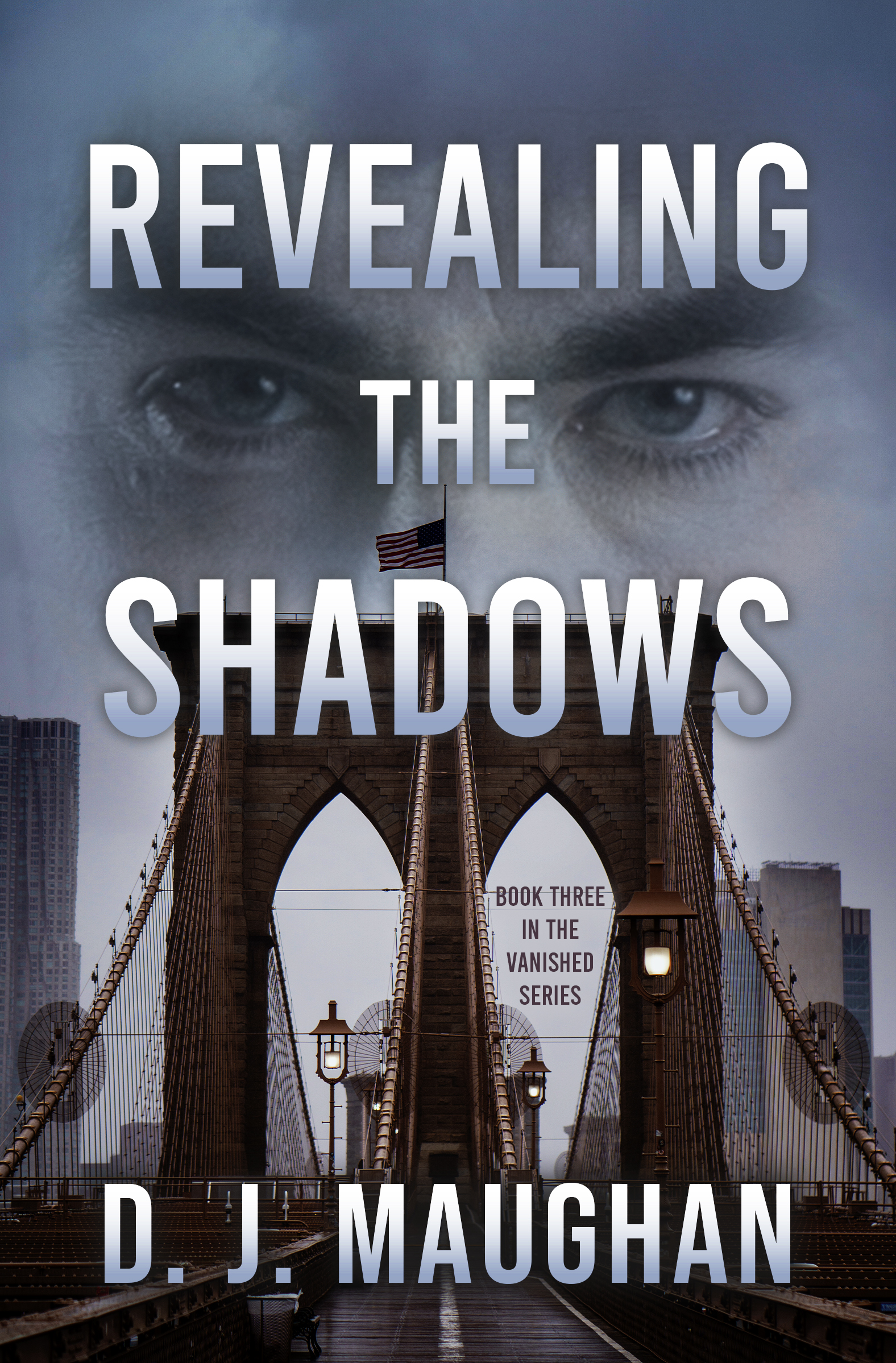 Revealing the Shadows: A thrilling detective story (Vanished Series Book 2)