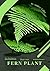 Fern Plant: Plant Guide