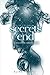 Secrets End (The Heliander Chronicles Book 3)