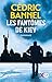 Les Fantômes de Kiev (French Edition)