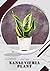 Sansevieria Plant: Plant Guide