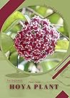 Hoya plant: Plant...